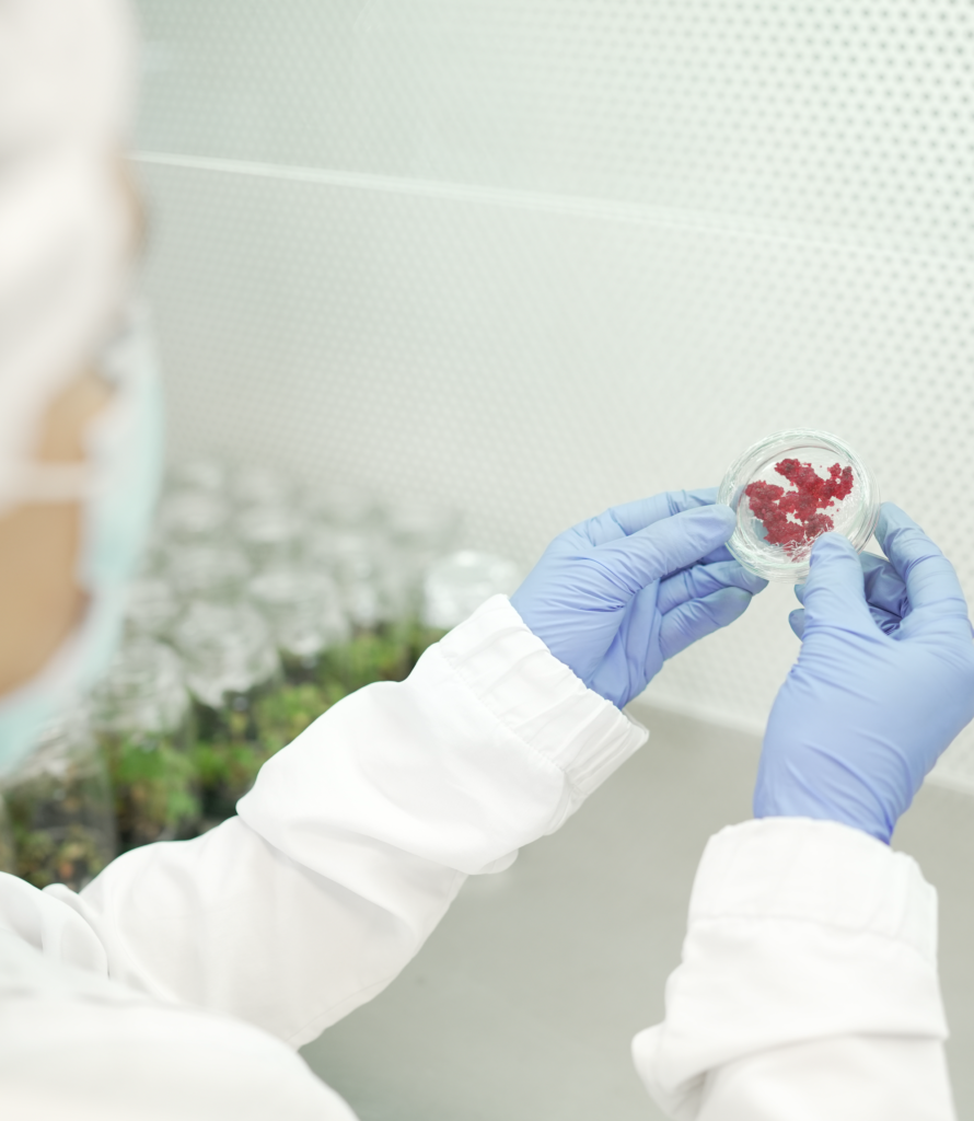 Cultivo celular laboratorio Vitra Biotecnología EAFIT