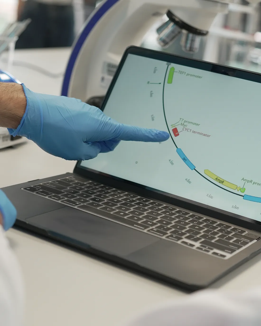 Una mano con guante señala en un portátil el mapa de un plásmido; al fondo, un microscopio.